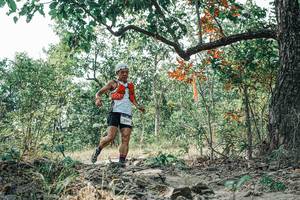 BIB: 
                            <button type="button" onclick="openModal(26084898)" class="btn btn-primary btn-sm float-right btn-popup" data-toggle="modal" data-target=".modal-high-quality">
                        <i class="fas fa-shopping-cart"></i> Add to Cart
                    </button>
                                            <button type="button" onclick="isThisMe(26084898, true)" class="btn btn-success btn-sm float-right btn-popup btn-isme hidden" data-toggle="tooltip" data-placement="bottom" title="นี่คือรูปของคุณใช่ไหม คลิกที่นี่เพื่อเอาเข้าอัลบั้ม">
                        <i class="fas fa-plus"></i> Add to album
                    </button>
                    <button type="button" onclick="isThisMe(26084898, false)" class="btn btn-warning btn-sm float-right btn-popup btn-isnotme hidden">
                        <i class="fas fa-ban"></i> Remove from album
                    </button>